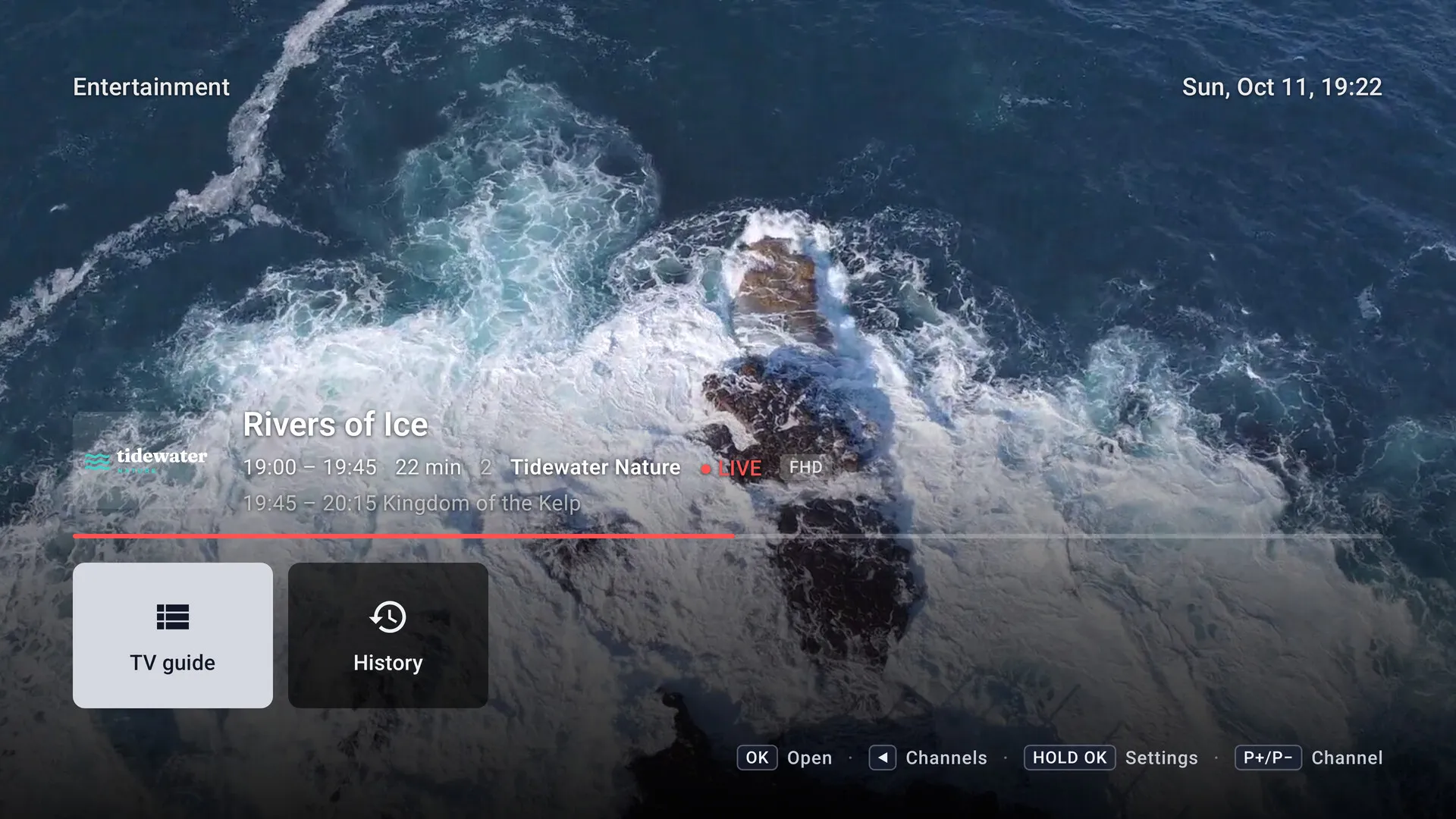Kepler on Android TV: a live nature channel full screen, with the channel banner and recent channels